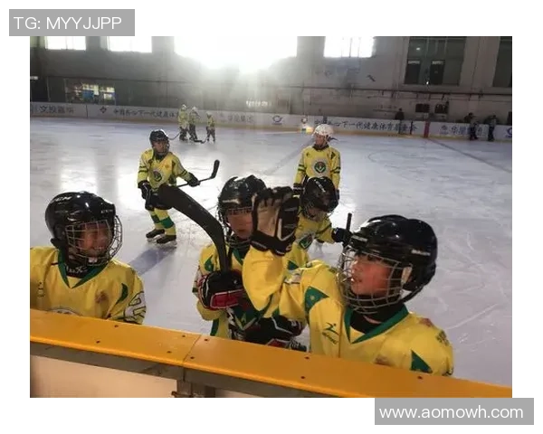 冰球突破品质承诺揭秘原材料筛选与生产工艺的严格标准与流程 冰球突破品质承诺揭秘原材料筛选与生产工艺的严格标准与流程