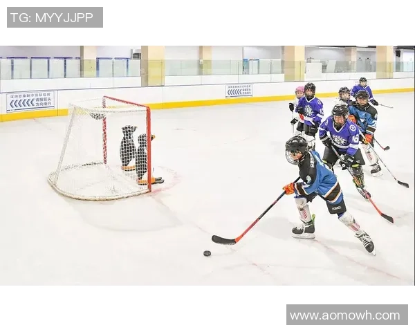 冰球突破内容生态建设探索：官方指导用户体验分享与专业评测分析