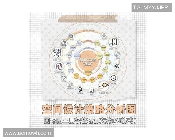 全球化视野下快盈VIII国际市场拓展策略及面临的挑战分析