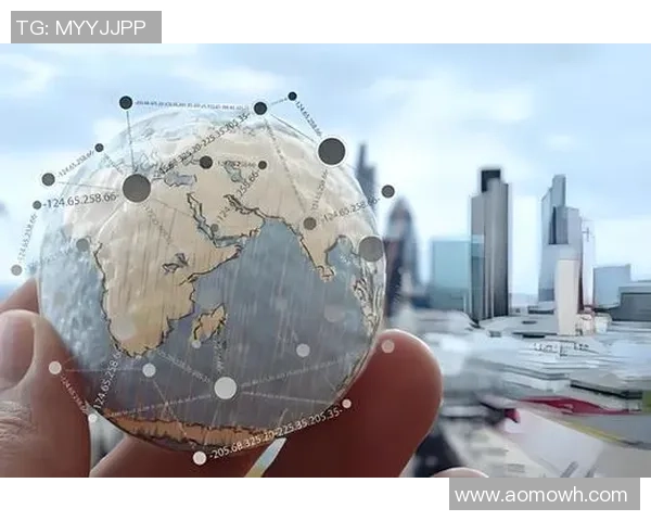 全球化背景下快盈VIII的国际市场拓展策略与面临的挑战分析 全球化背景下快盈VIII的国际市场拓展策略与面临的挑战分析