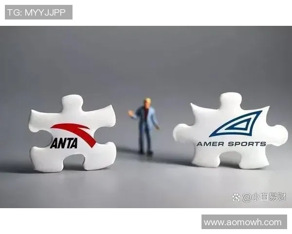 全球化视野下快盈VIII国际市场拓展策略及面临的挑战分析 全球化视野下快盈VIII国际市场拓展策略及面临的挑战分析