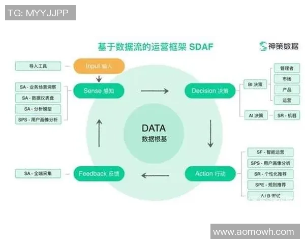 赛事数据复盘分析彩神Vll如何利用数据提升运营效率与策略优化