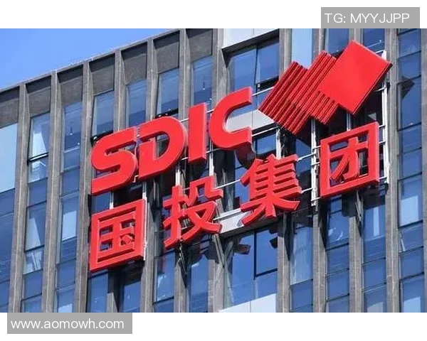 全球化视野下快盈VIII国际市场拓展策略与面临的挑战分析