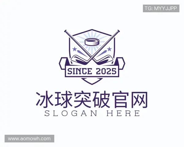 关于冰球突破官网