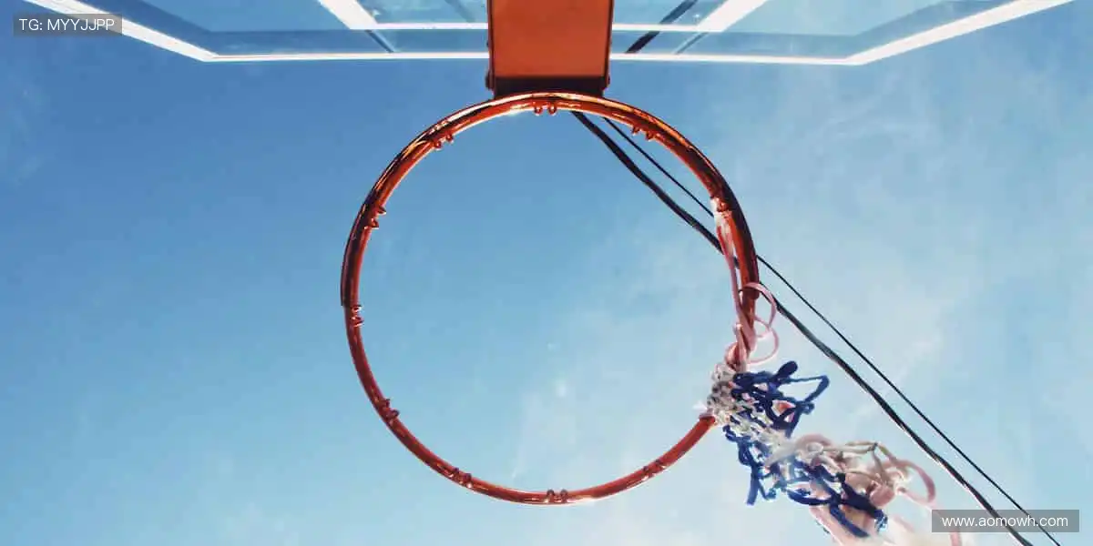 🎙️深度解读，冠军之路！🏆揭秘赛场背后的热血与汗水！